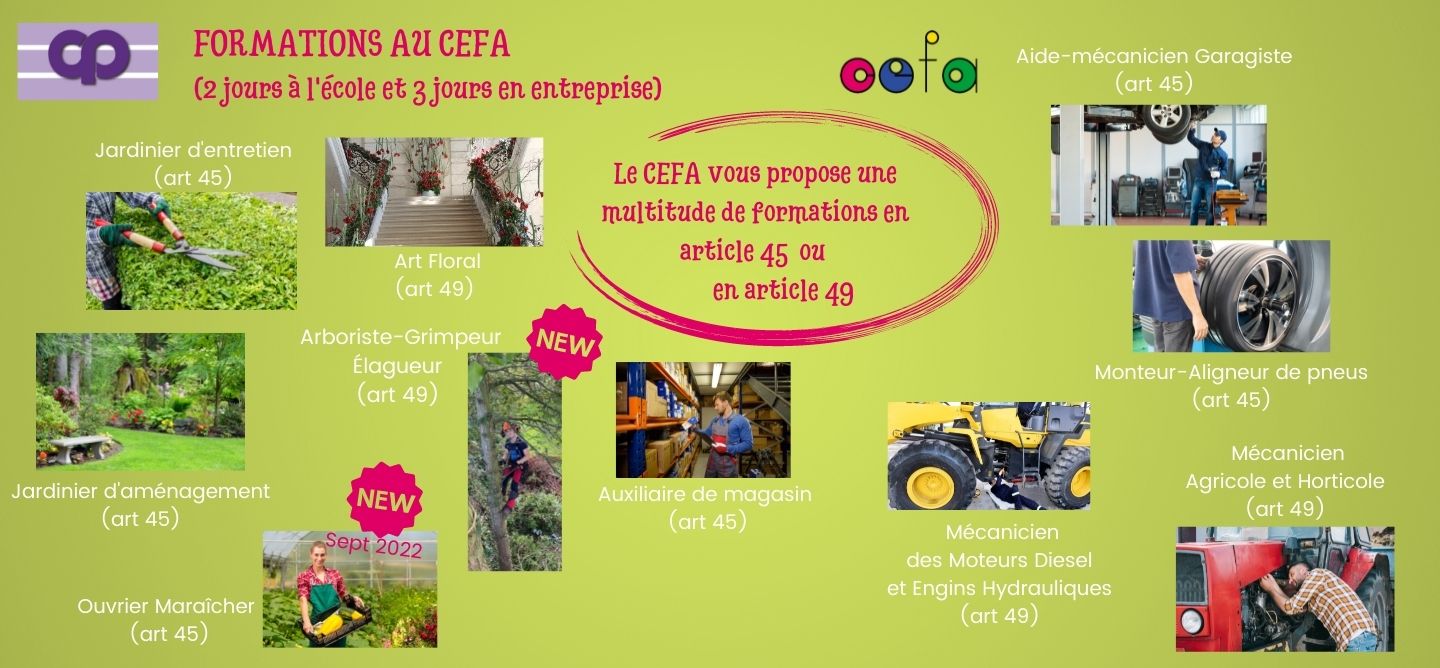 OptionsCEFA