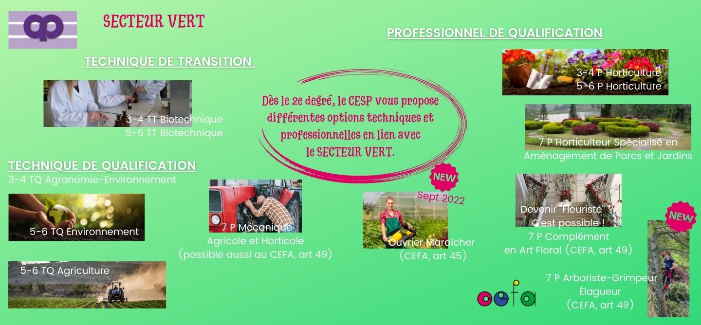 Secteur Vert