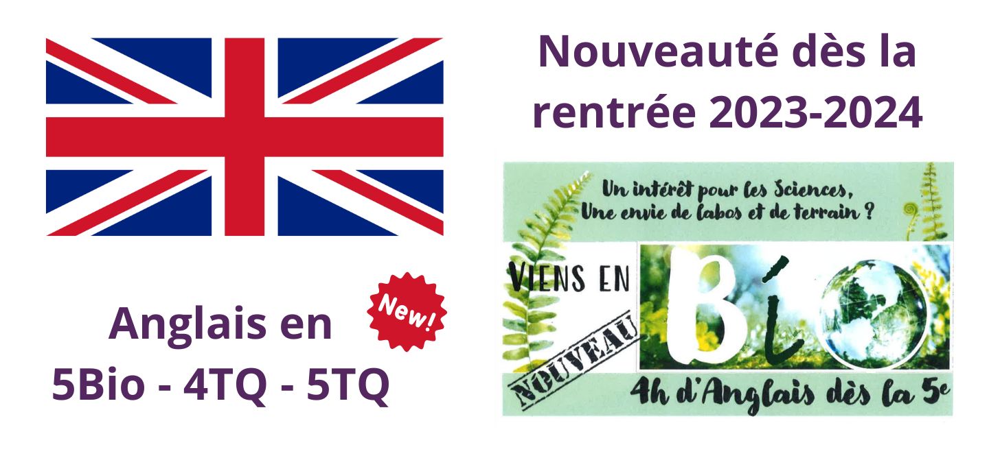 Anglais